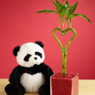 Heart Bamboo Plant and Stuffed Panda – $39.98