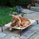 Coolaroo Elevated Pet Bed – $28.54