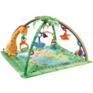 Fisher Price Rainforest Gym – $46.50